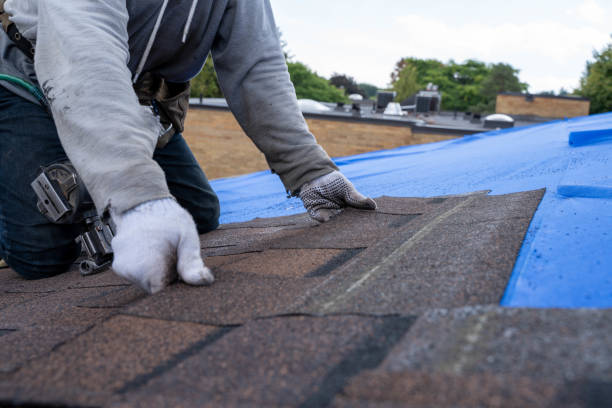 Quick and Trustworthy Emergency Roof Repair Services in Lynnwood, WA