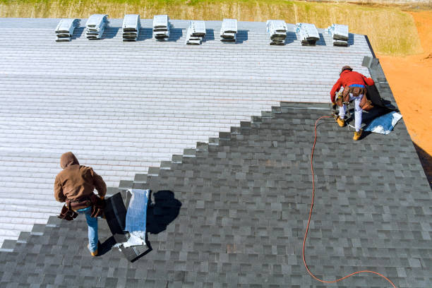 Best Metal Roofing Contractor  in Lynnwood, WA