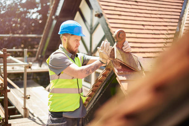 Best Roof Gutter Cleaning  in Lynnwood, WA