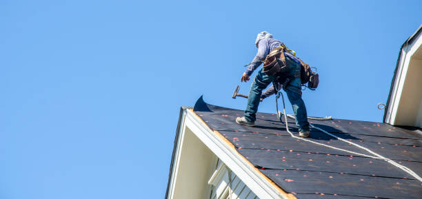 Roof Gutter Cleaning in Lynnwood, WA